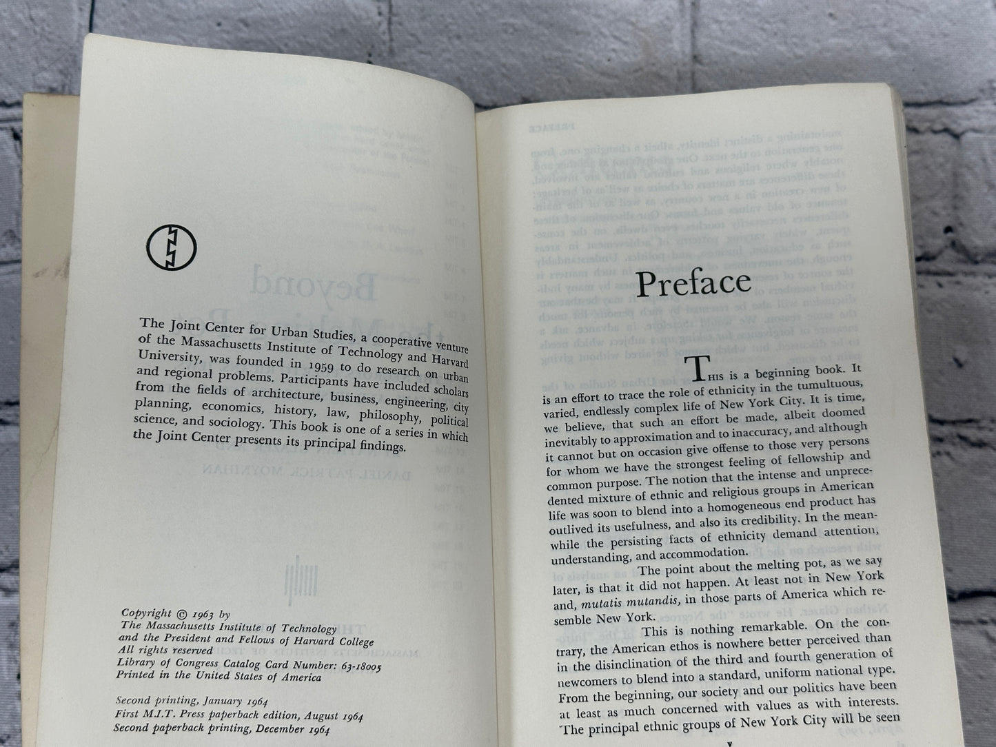 Beyond the Melting Pot: Negroes, Puerto Ricans, Jews, Italians, & Irish of NYC