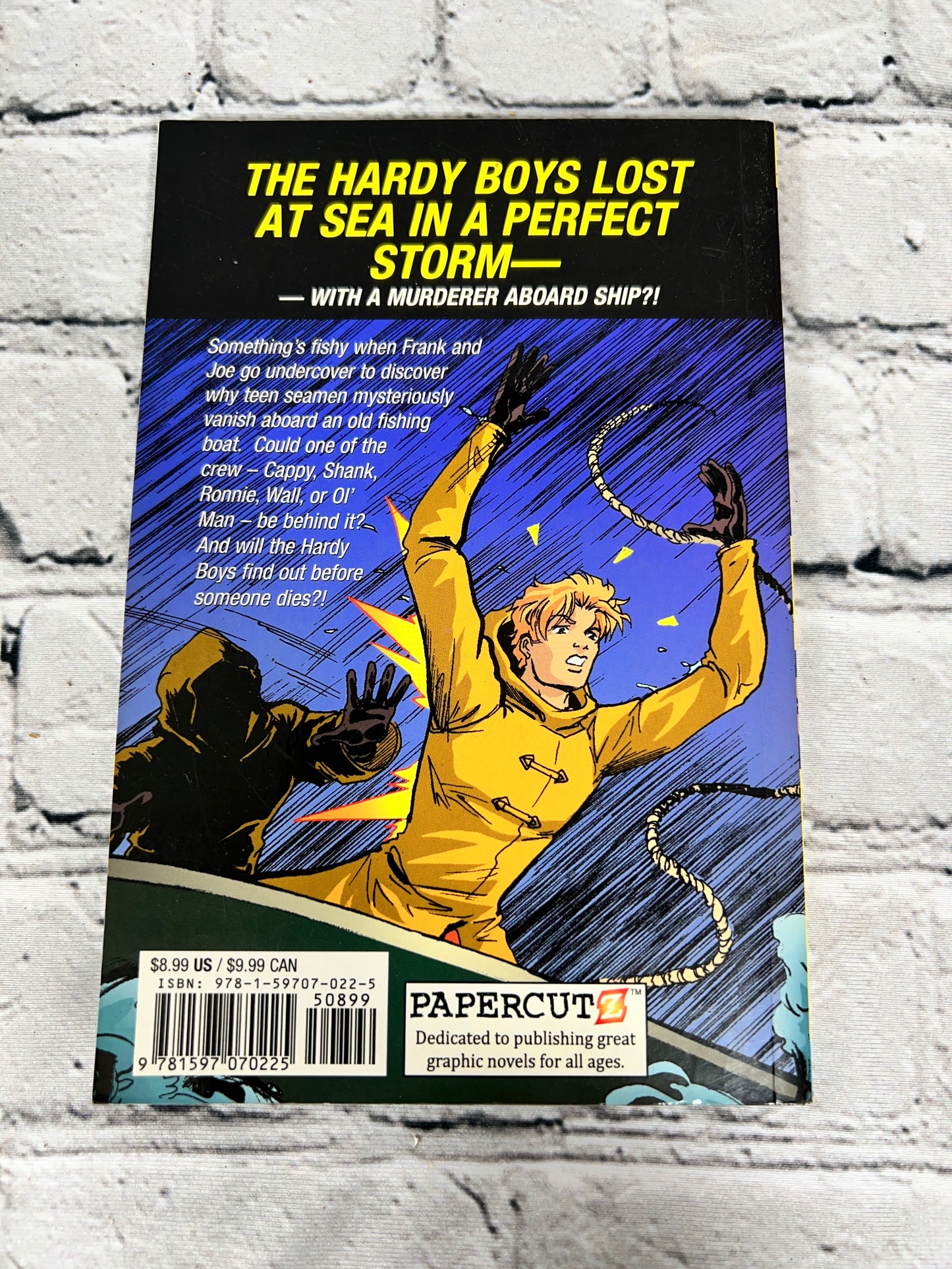 The Hardy Boys #5: Sea You, Sea Me! by Lobdell & Rendon [Papercutz · 2011]