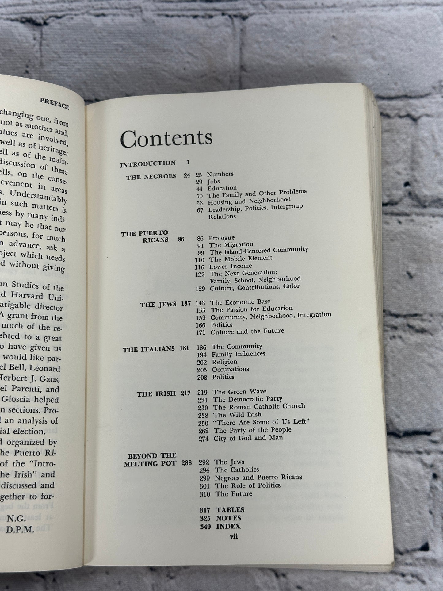 Beyond the Melting Pot: Negroes, Puerto Ricans, Jews, Italians, & Irish of NYC