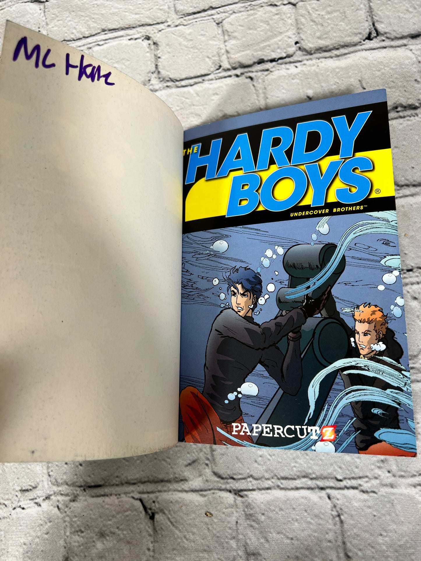 The Hardy Boys #5: Sea You, Sea Me! by Lobdell & Rendon [Papercutz · 2011]