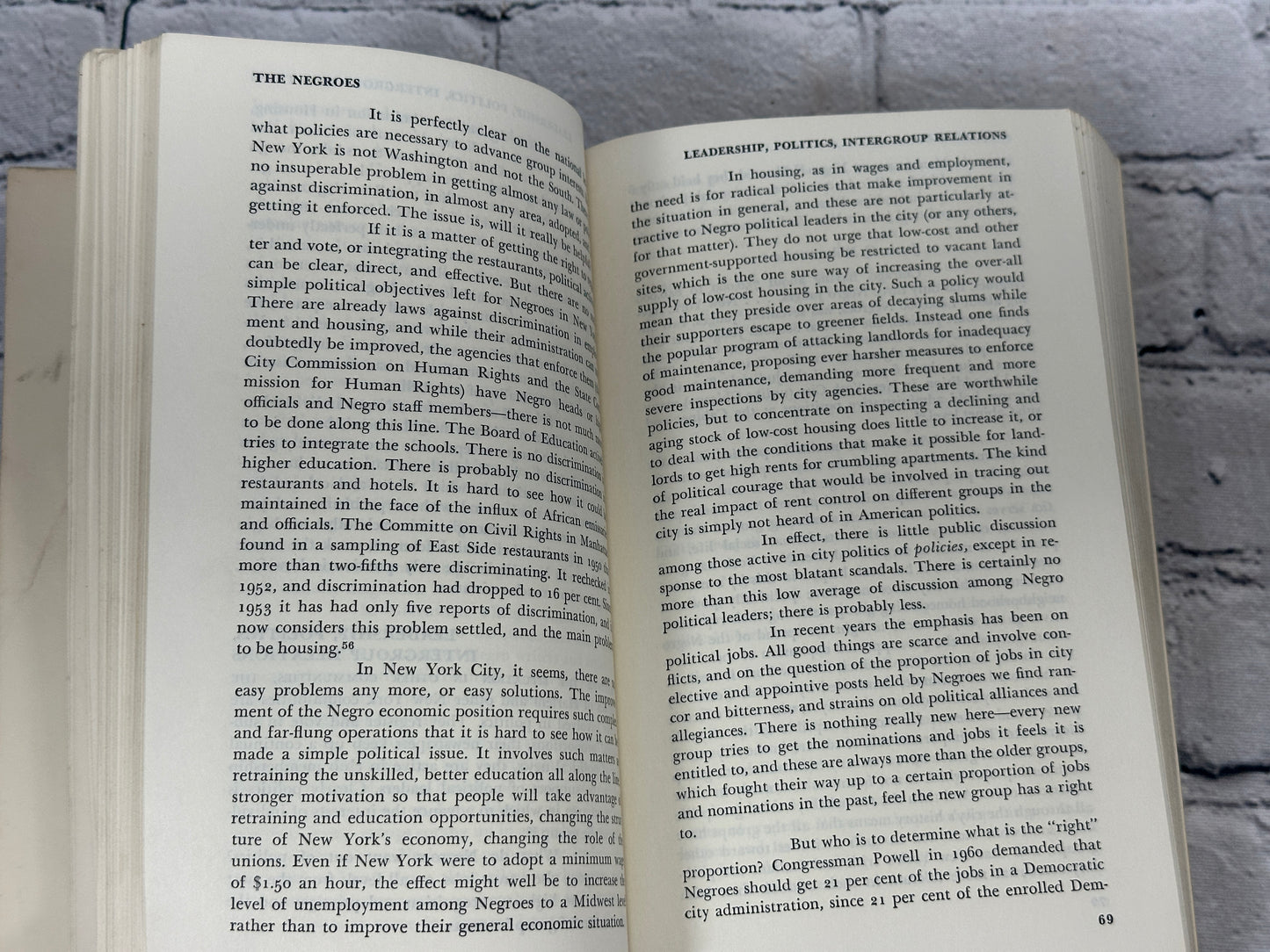 Beyond the Melting Pot: Negroes, Puerto Ricans, Jews, Italians, & Irish of NYC