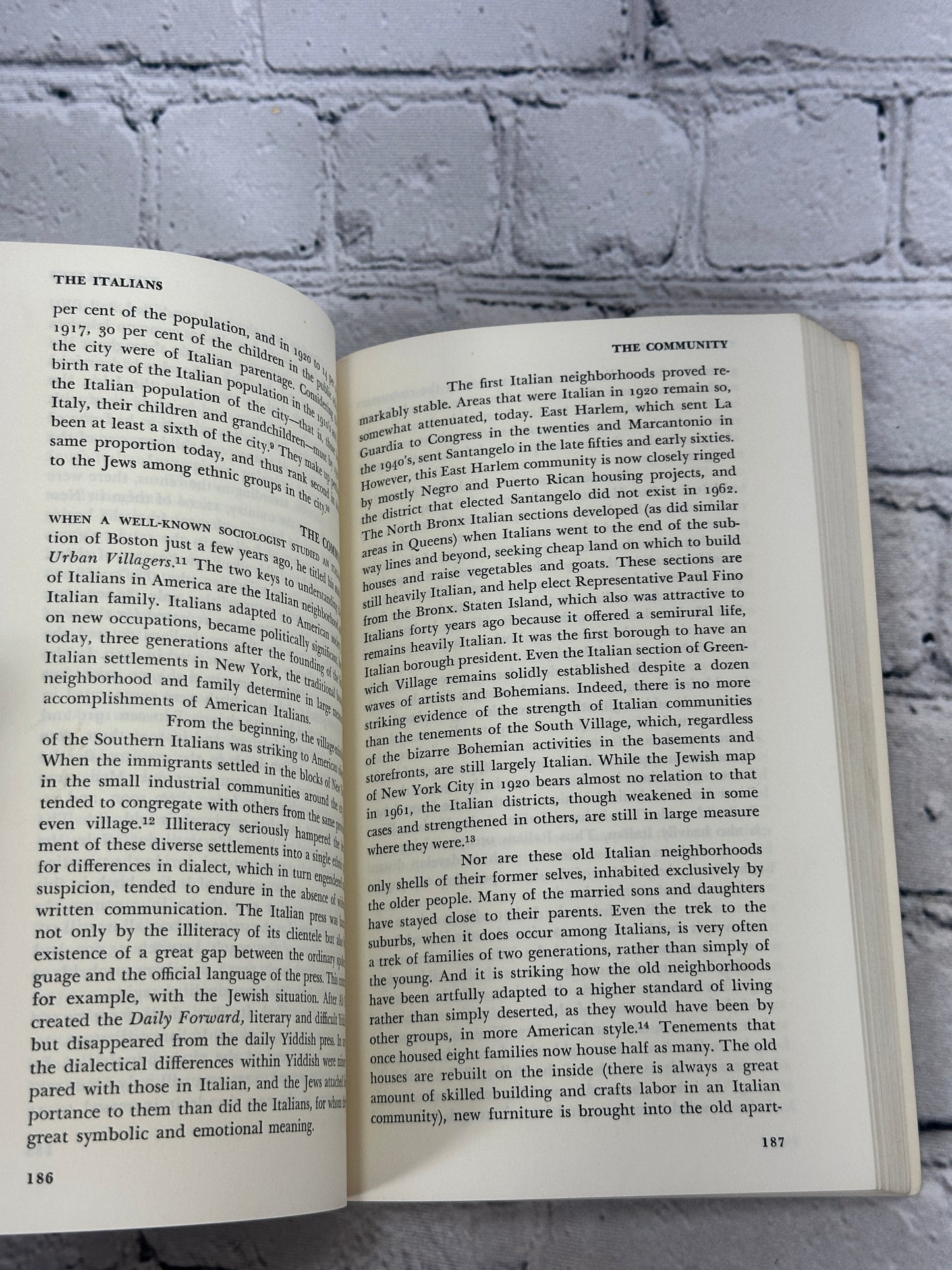 Beyond the Melting Pot: Negroes, Puerto Ricans, Jews, Italians, & Irish of NYC