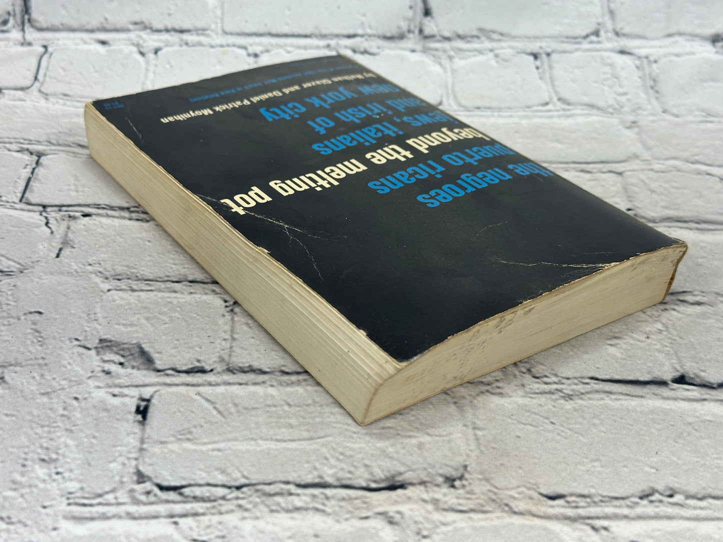 Beyond the Melting Pot: Negroes, Puerto Ricans, Jews, Italians, & Irish of NYC