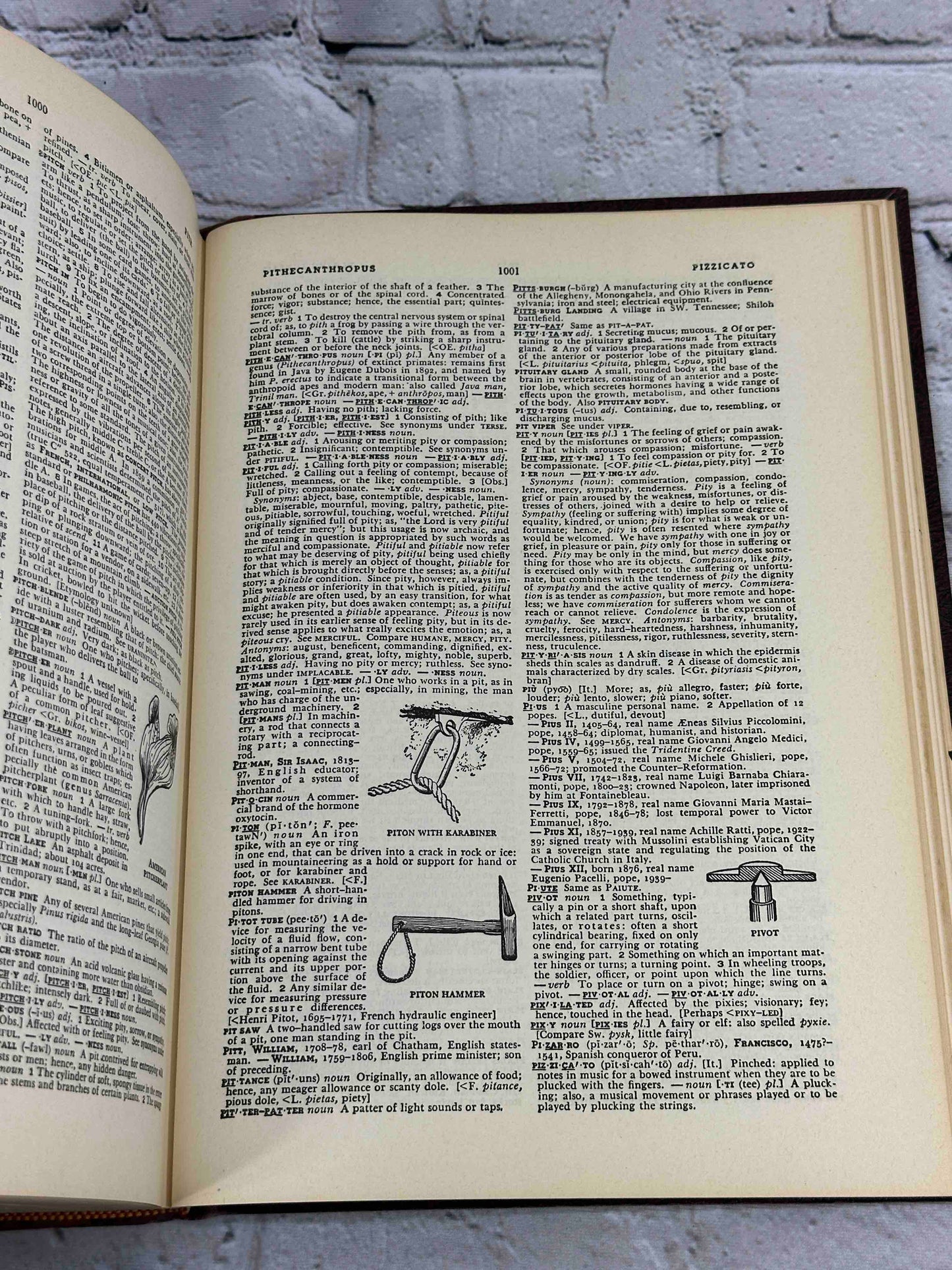 Britannica World Language Dictionary