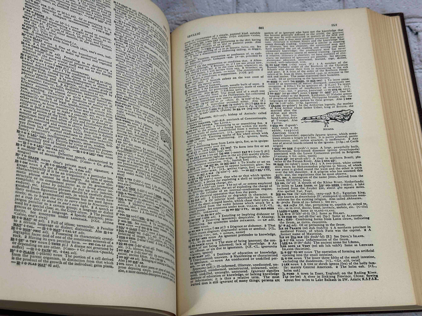 Britannica World Language Dictionary