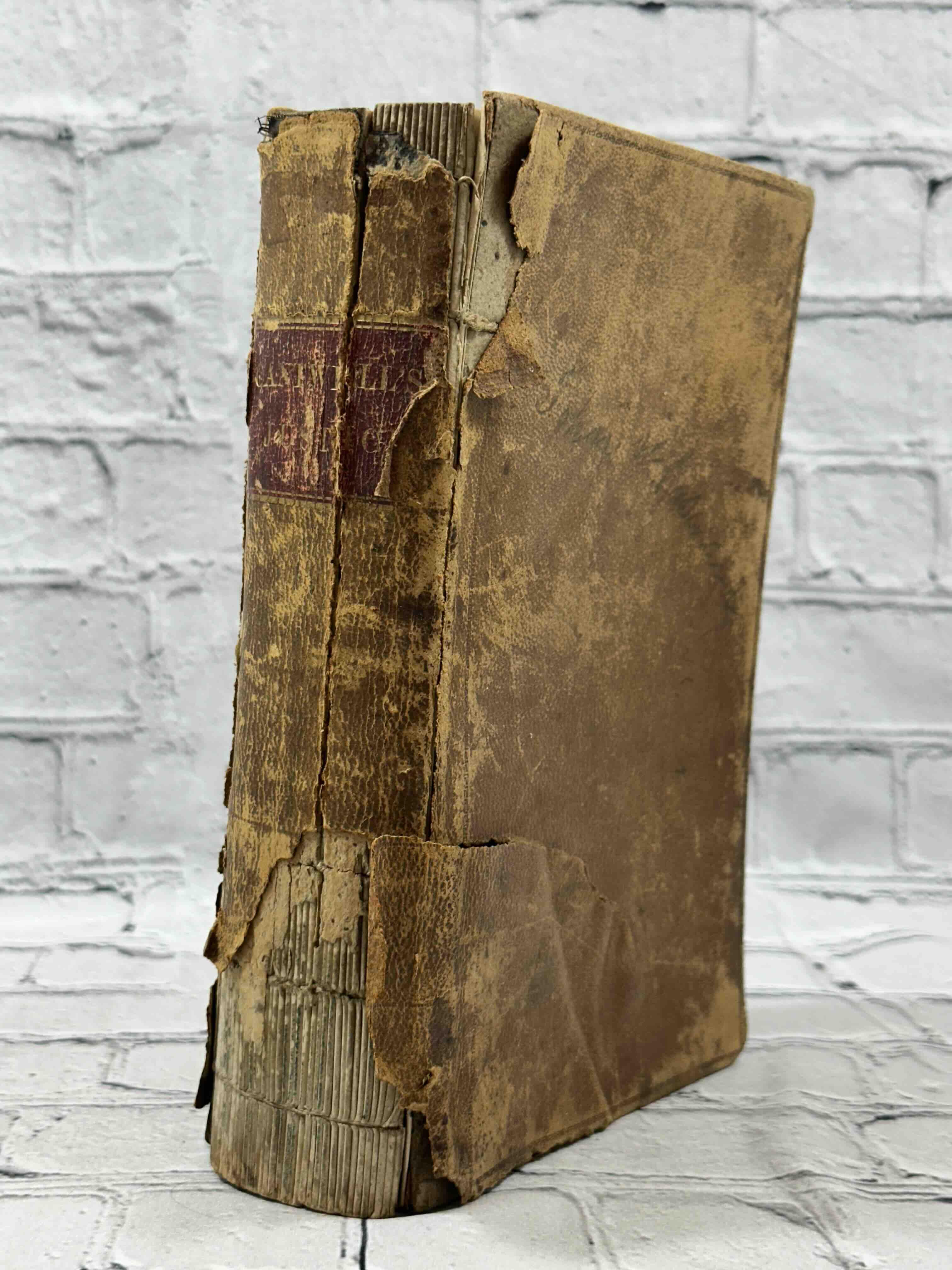 Reference / Dictionaries Antiquarian – Flipped Pages