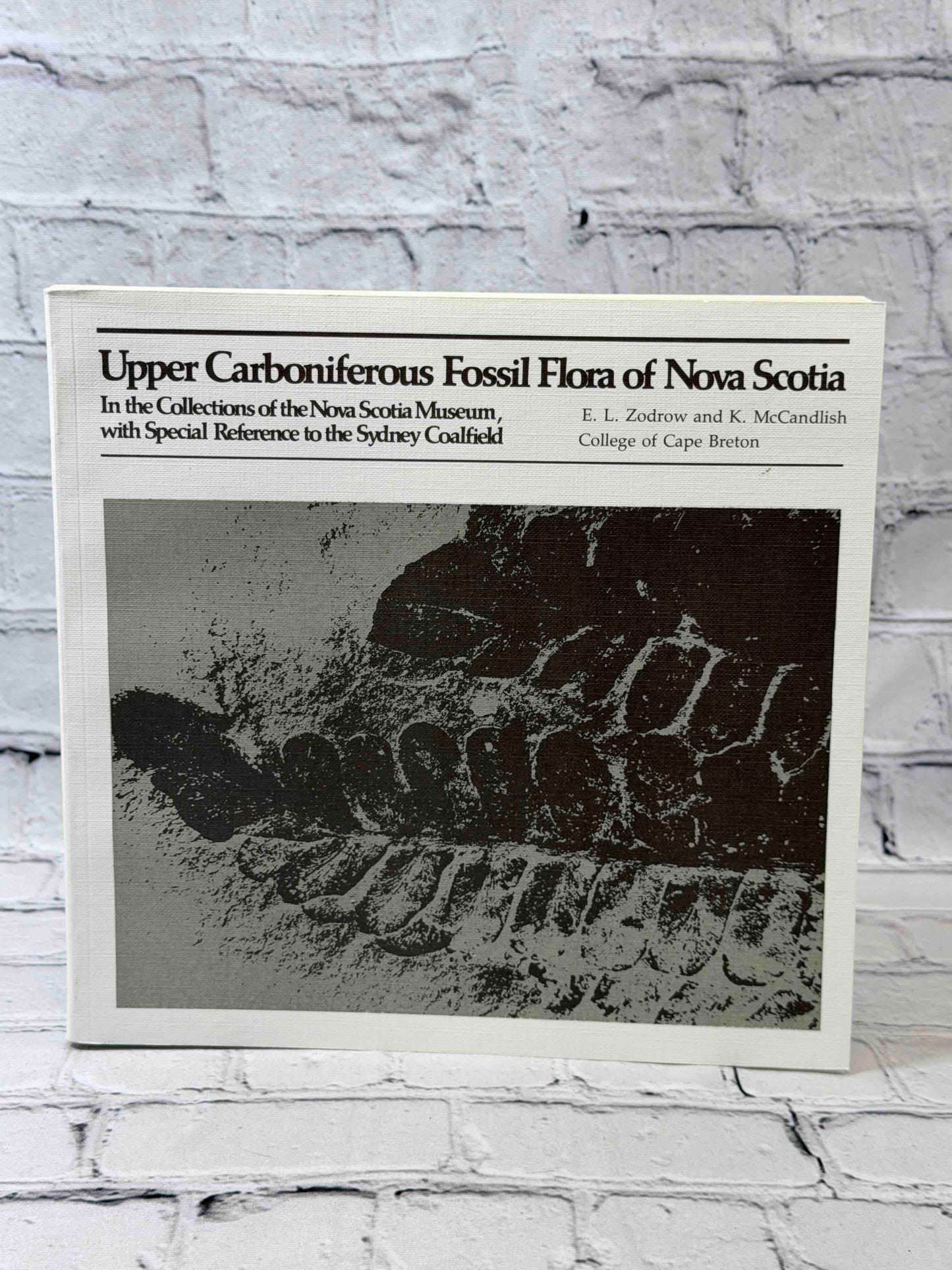 Upper Carboniferous fossil flora of Nova Scotia