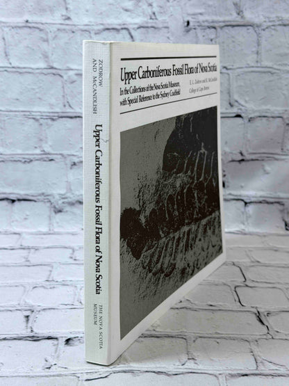 Upper Carboniferous fossil flora of Nova Scotia