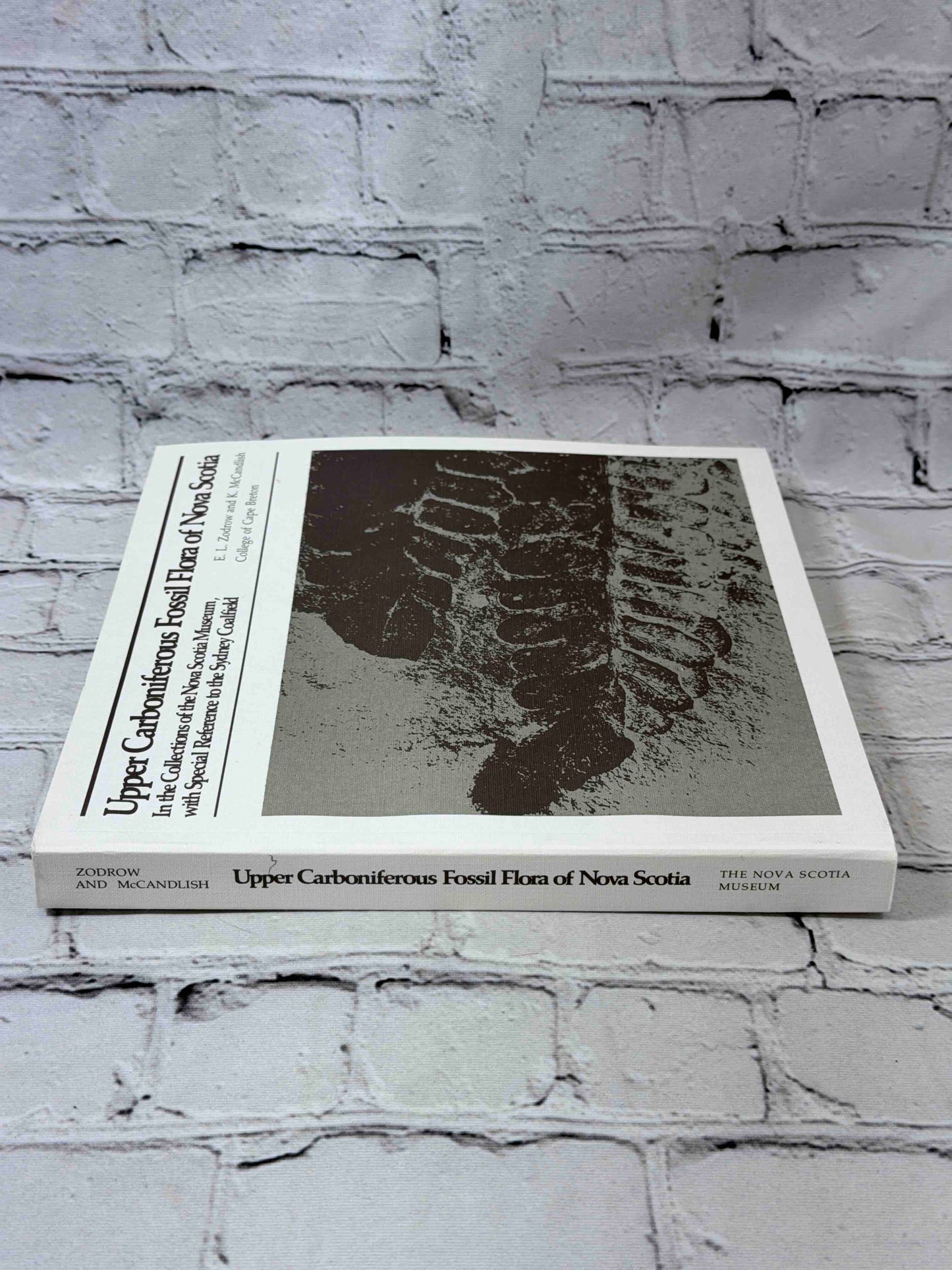 Upper Carboniferous fossil flora of Nova Scotia
