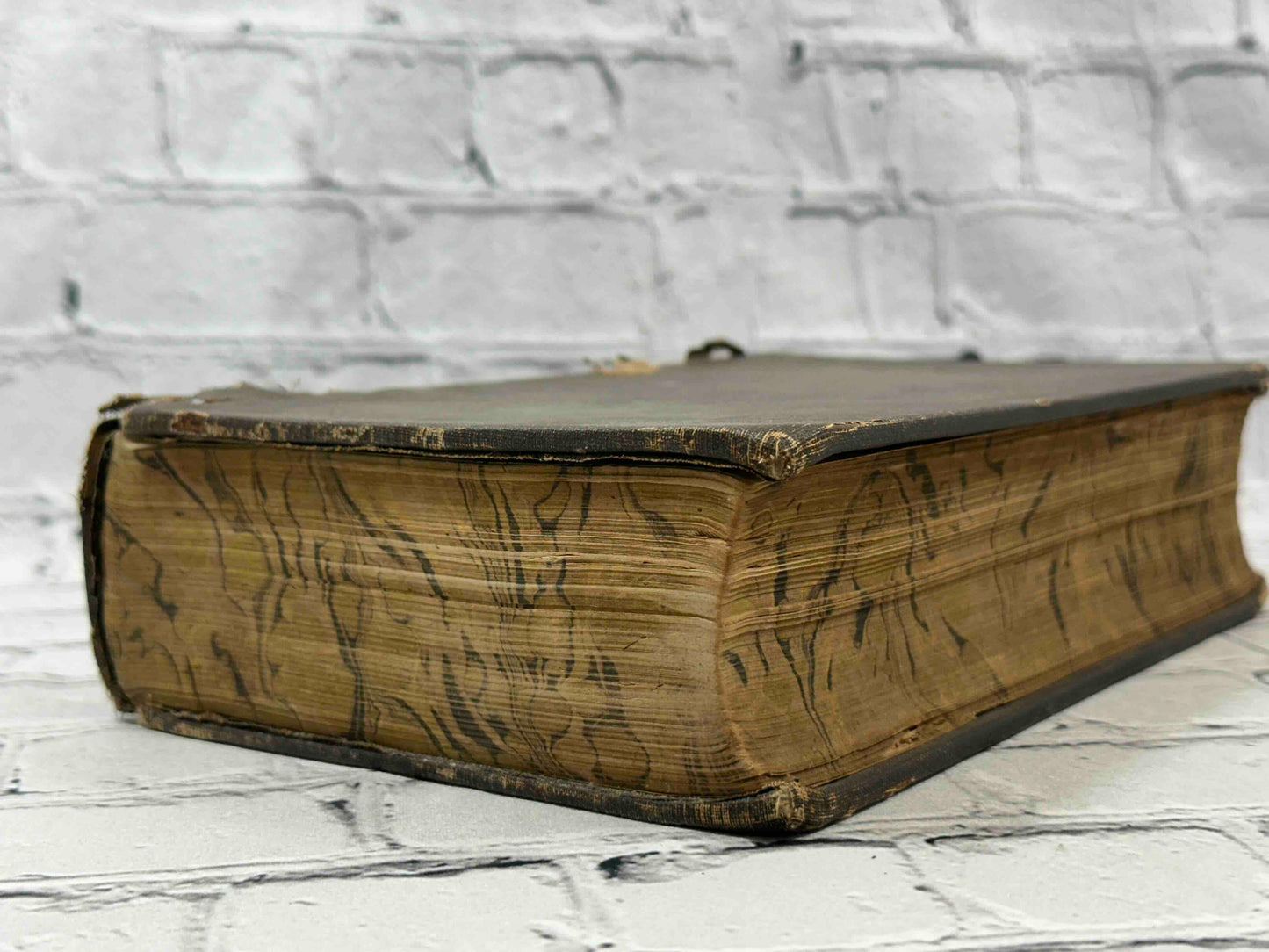 Plutarch's Lives & A Life of Plutarch