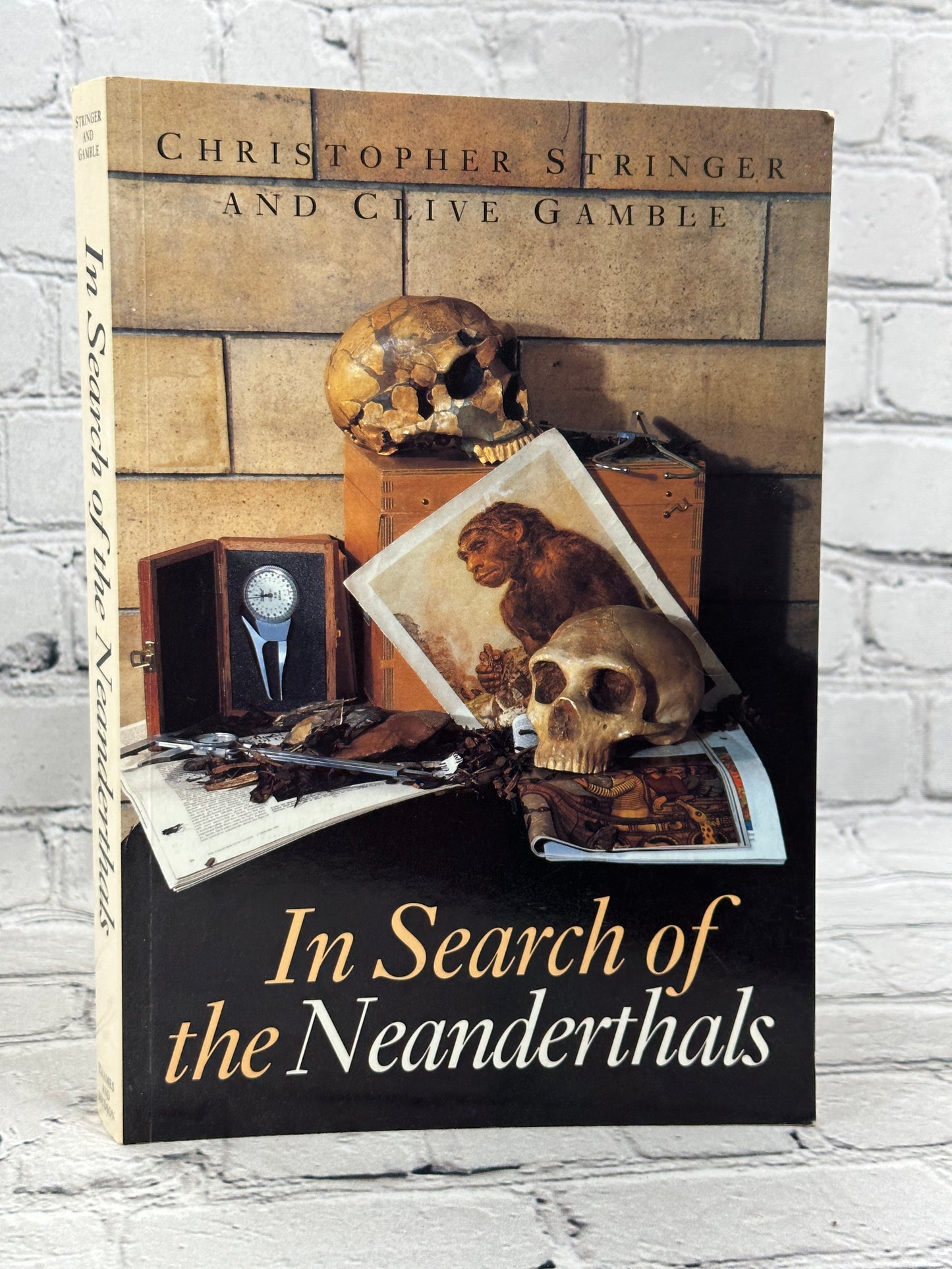 In Search of the Neanderthals by Chris Stringer & Clive Gamble [1994]