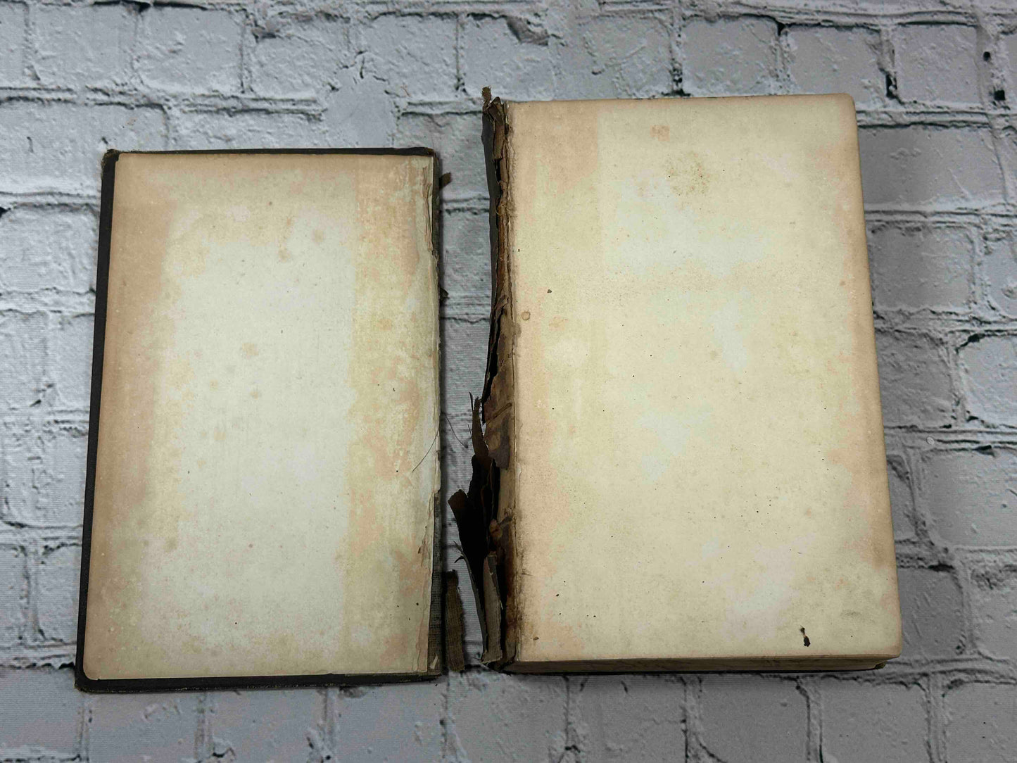 Plutarch's Lives & A Life of Plutarch