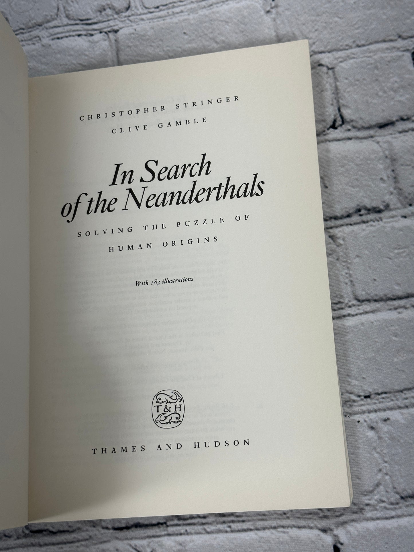 In Search of the Neanderthals by Chris Stringer & Clive Gamble [1994]