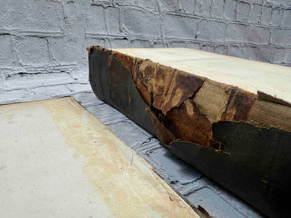 Plutarch's Lives & A Life of Plutarch