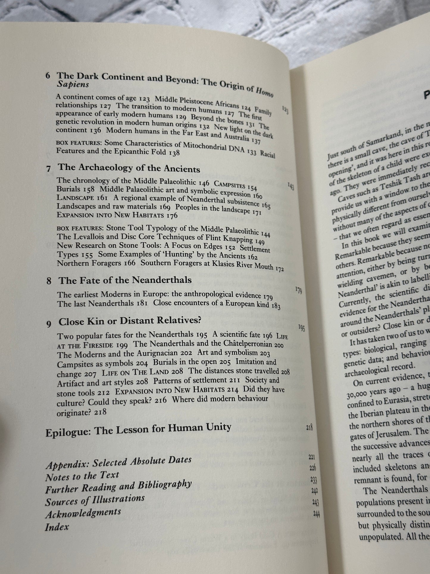 In Search of the Neanderthals by Chris Stringer & Clive Gamble [1994]