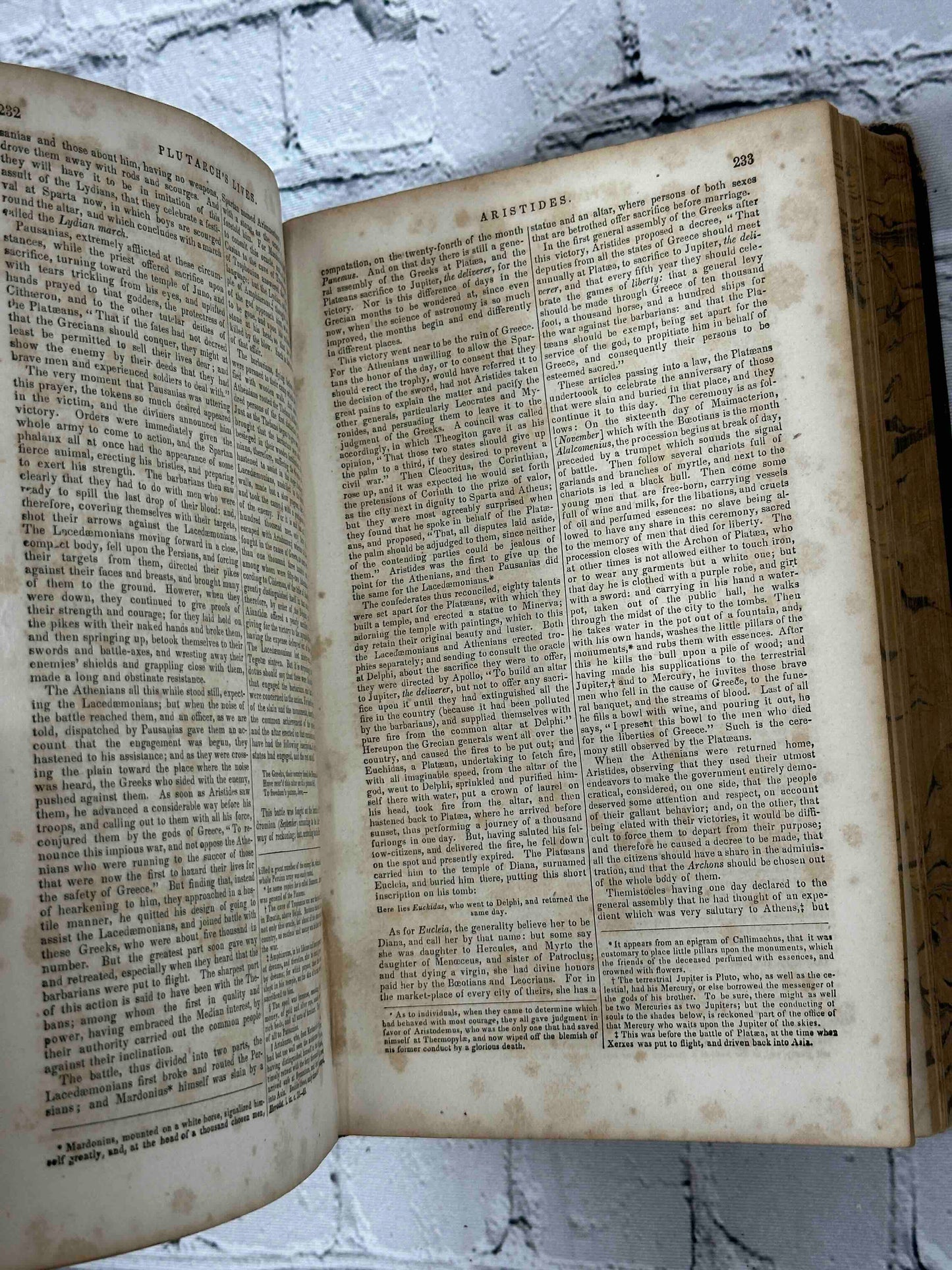 Plutarch's Lives & A Life of Plutarch