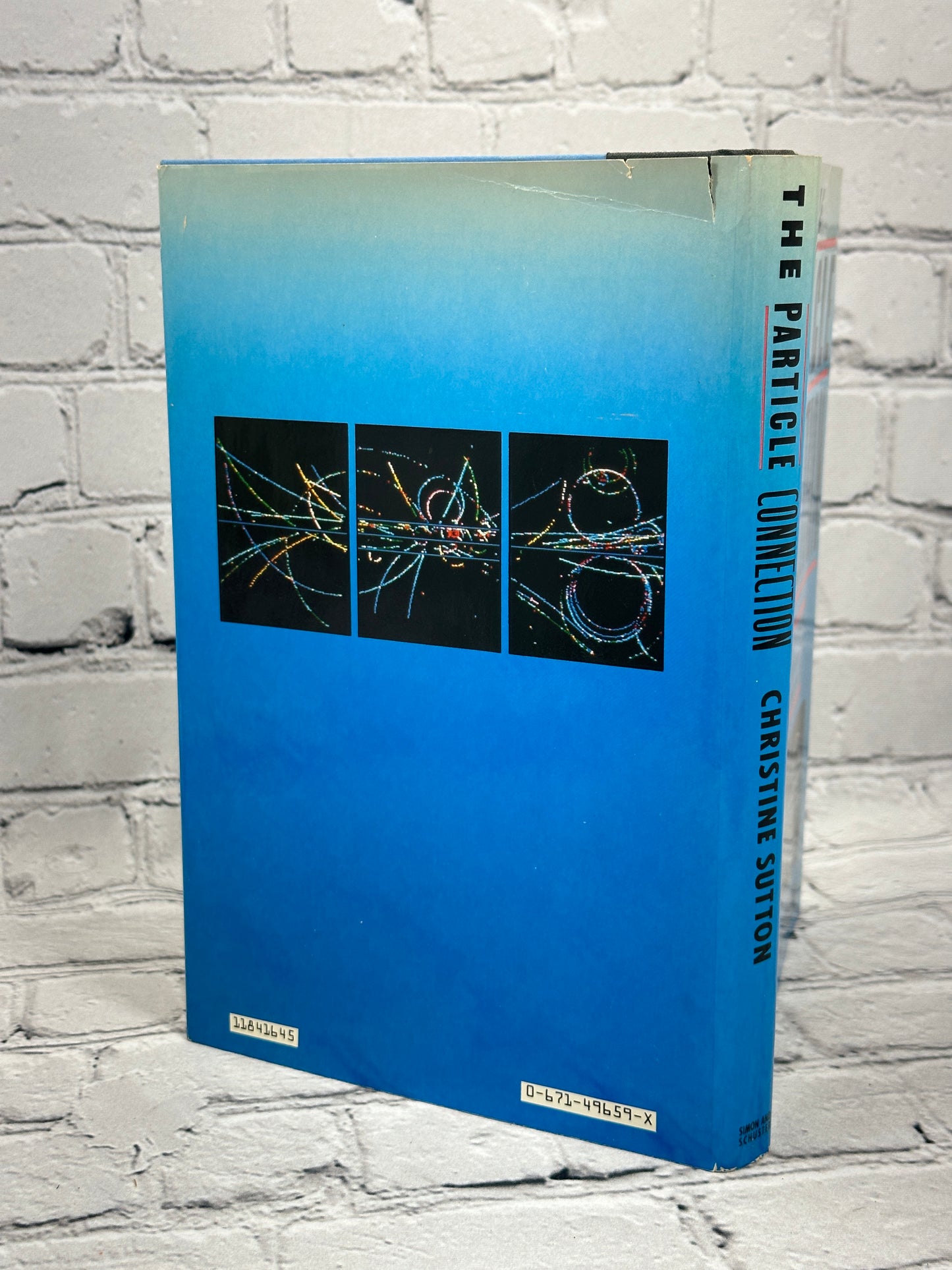 The Particle Connection by Christine Sutton [1984 · First Printing]