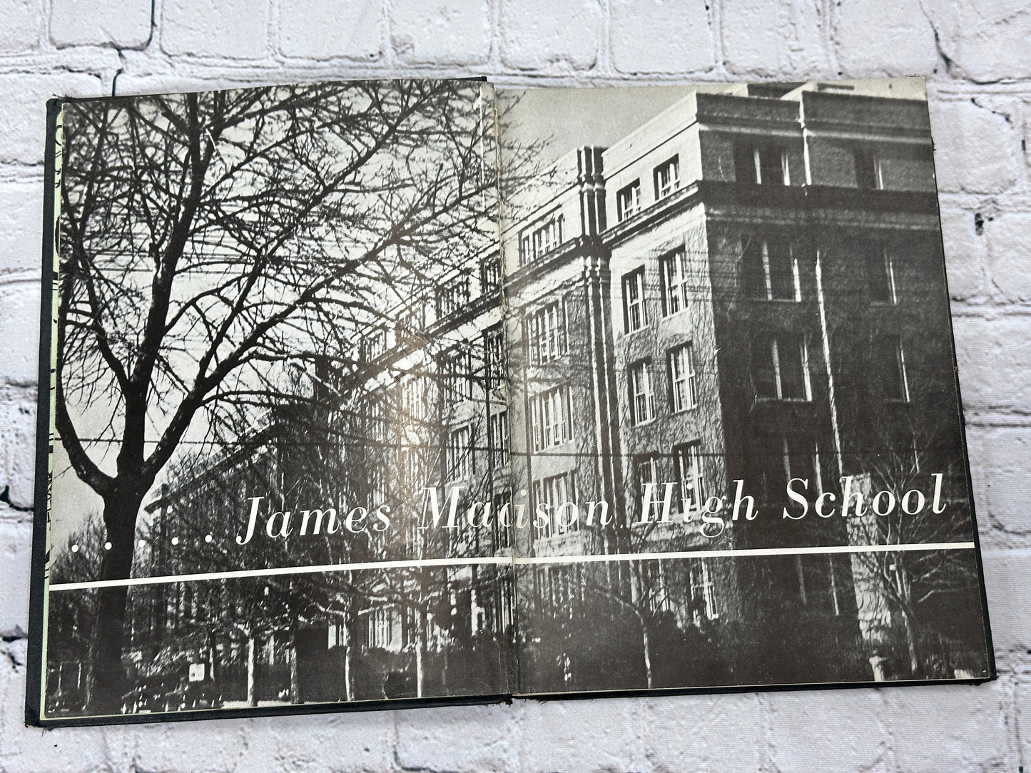 LOG James Madison High School June 1951 Class Yearbook Brooklyn 29 NY