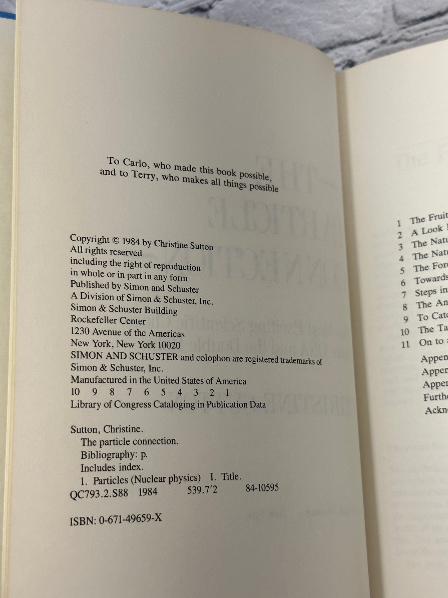 The Particle Connection by Christine Sutton [1984 · First Printing]