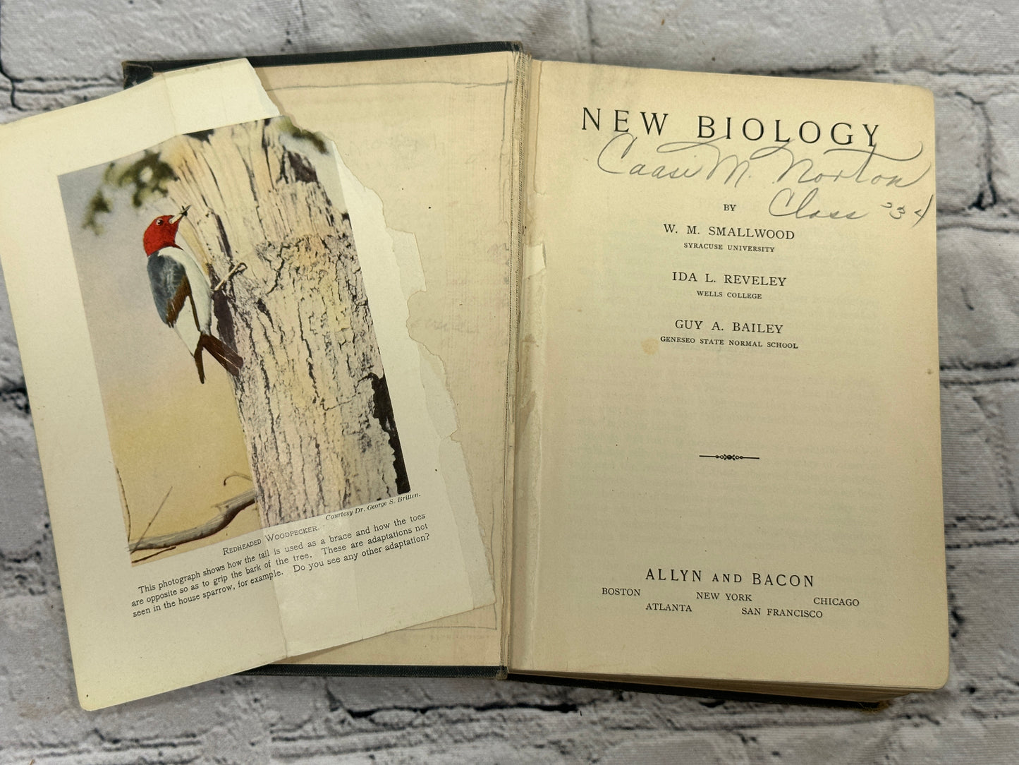 New Biology by W. M. Smallwood, Ida Reveley, Guy Bailey [1924 · 1st Ed]