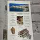 Eyewitness Travel Guide to Sicily  by Fabrizio Ardito [2000 · First US Edition]