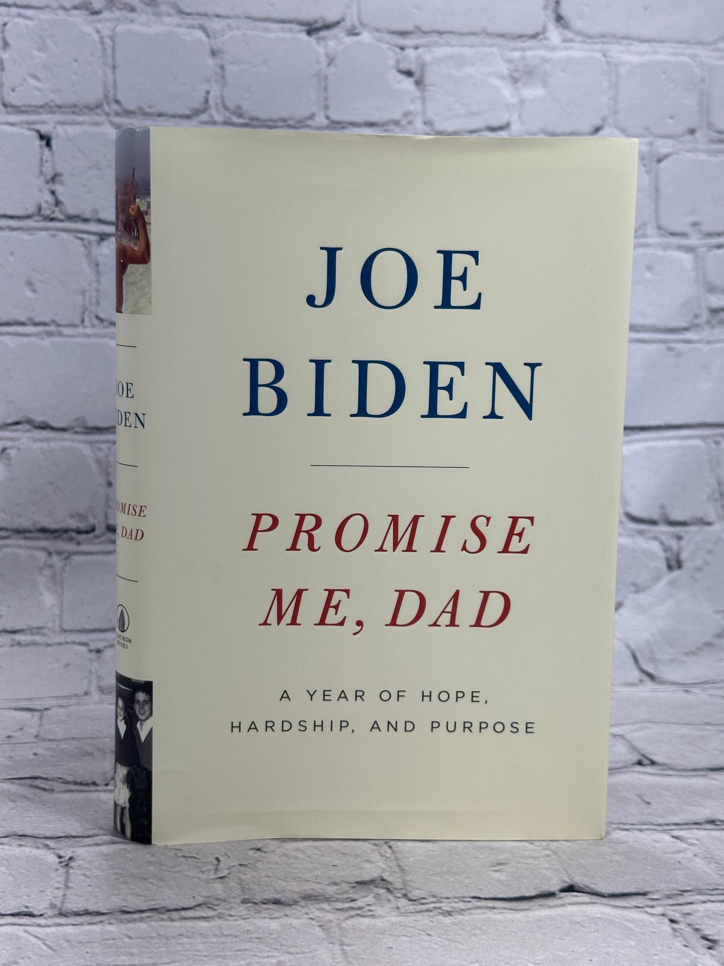 Promise Me, Dad: A Year of Hope, Hardship, and Purpose Joe Biden [1st Ed · 2017]