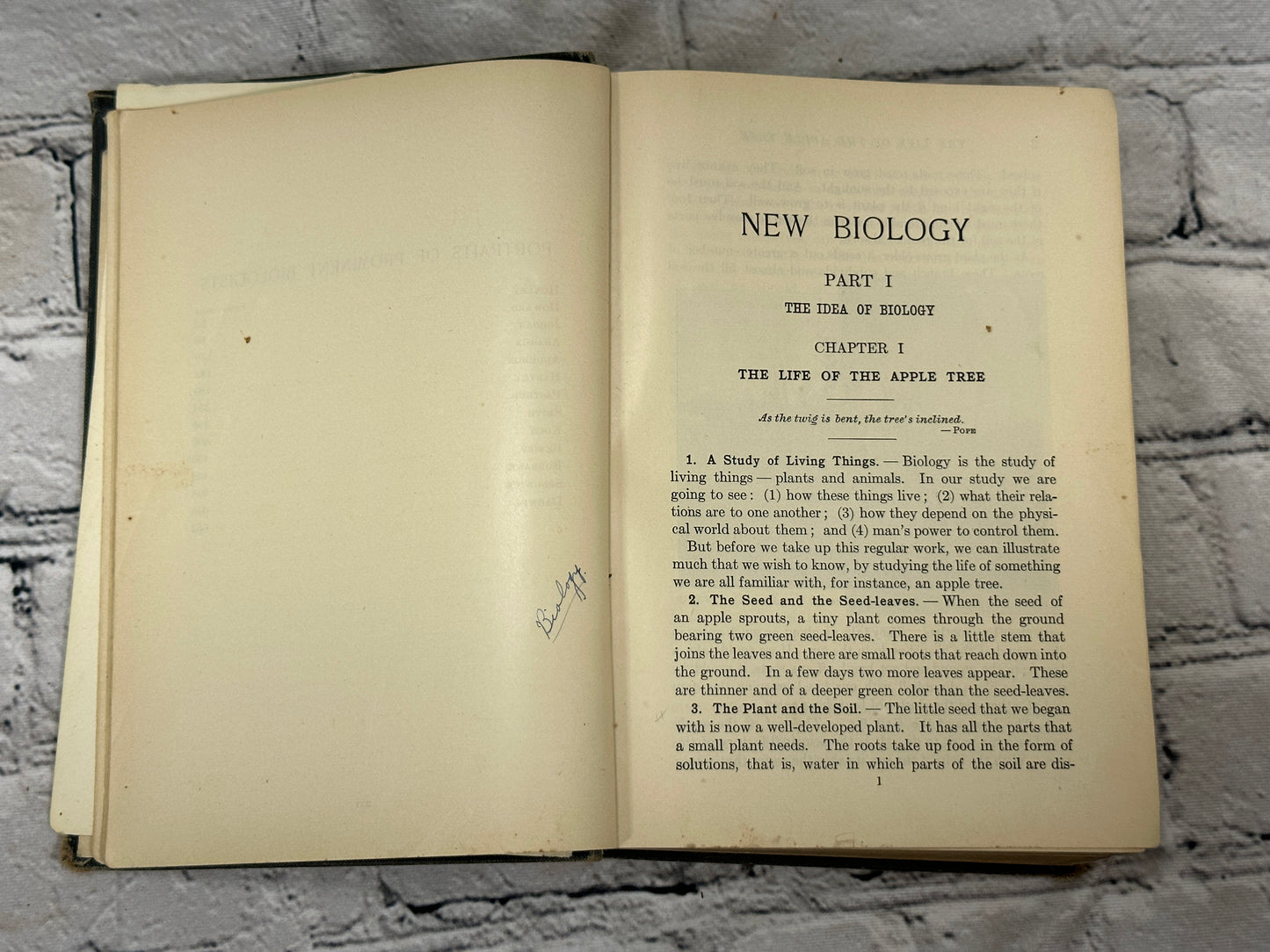 New Biology by W. M. Smallwood, Ida Reveley, Guy Bailey [1924 · 1st Ed]