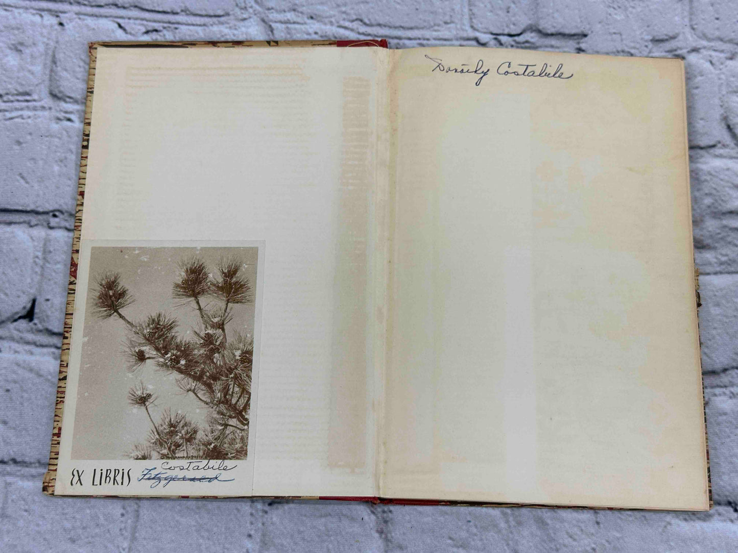 The Seven Miracles of Gubbio and the Eighth