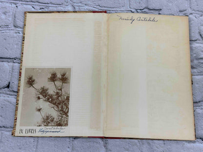 The Seven Miracles of Gubbio and the Eighth