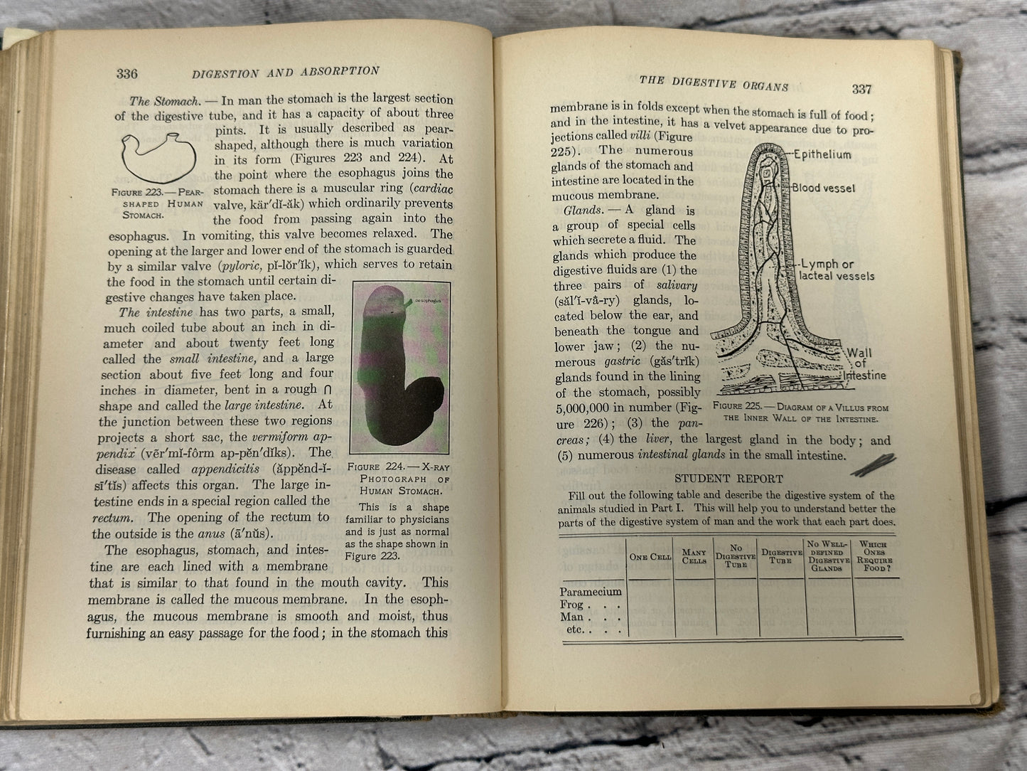 New Biology by W. M. Smallwood, Ida Reveley, Guy Bailey [1924 · 1st Ed]