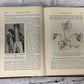 New Biology by W. M. Smallwood, Ida Reveley, Guy Bailey [1924 · 1st Ed]