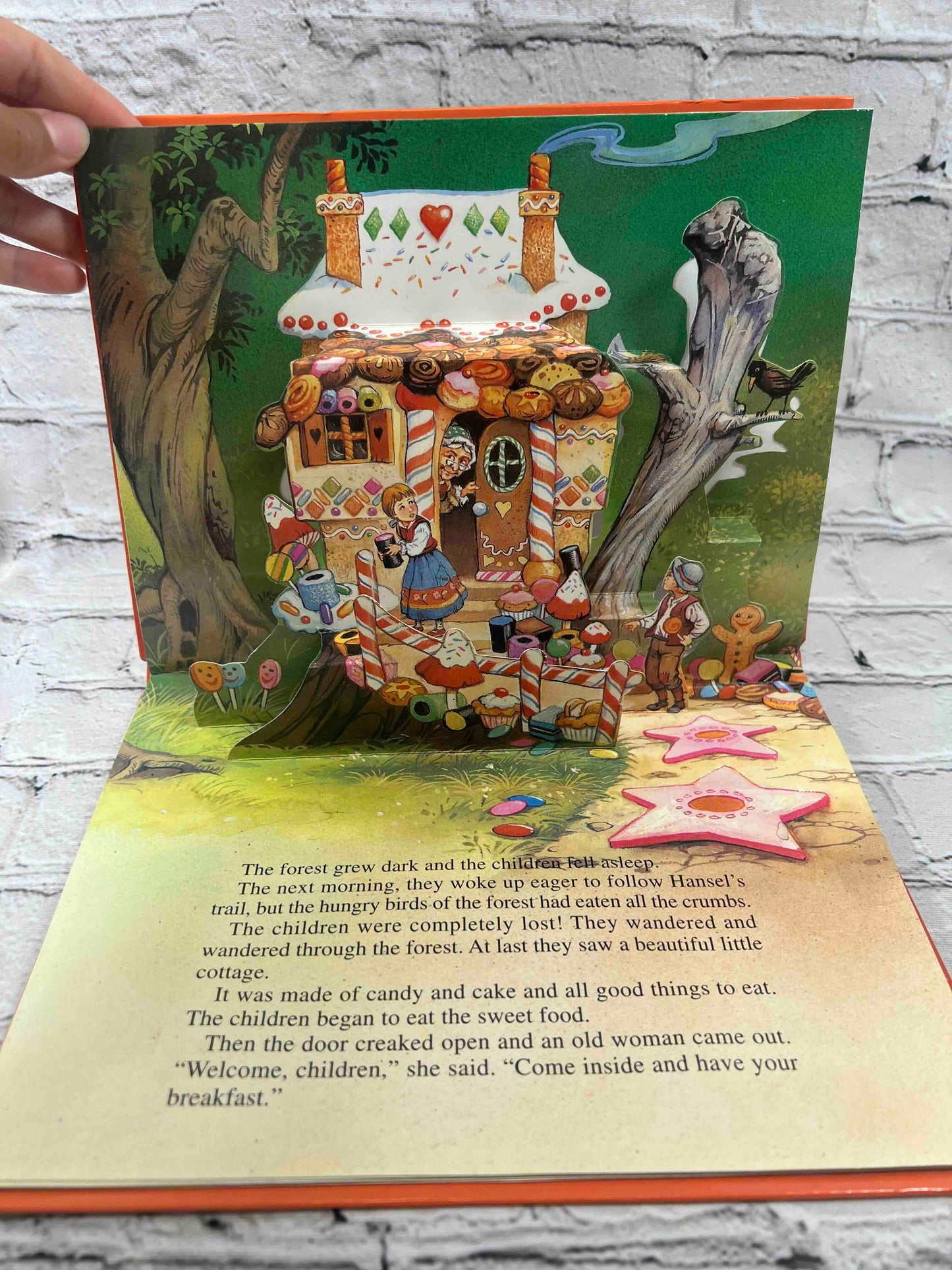 Hansel & Gretel Fairy Take Favorites A Pop Up Book