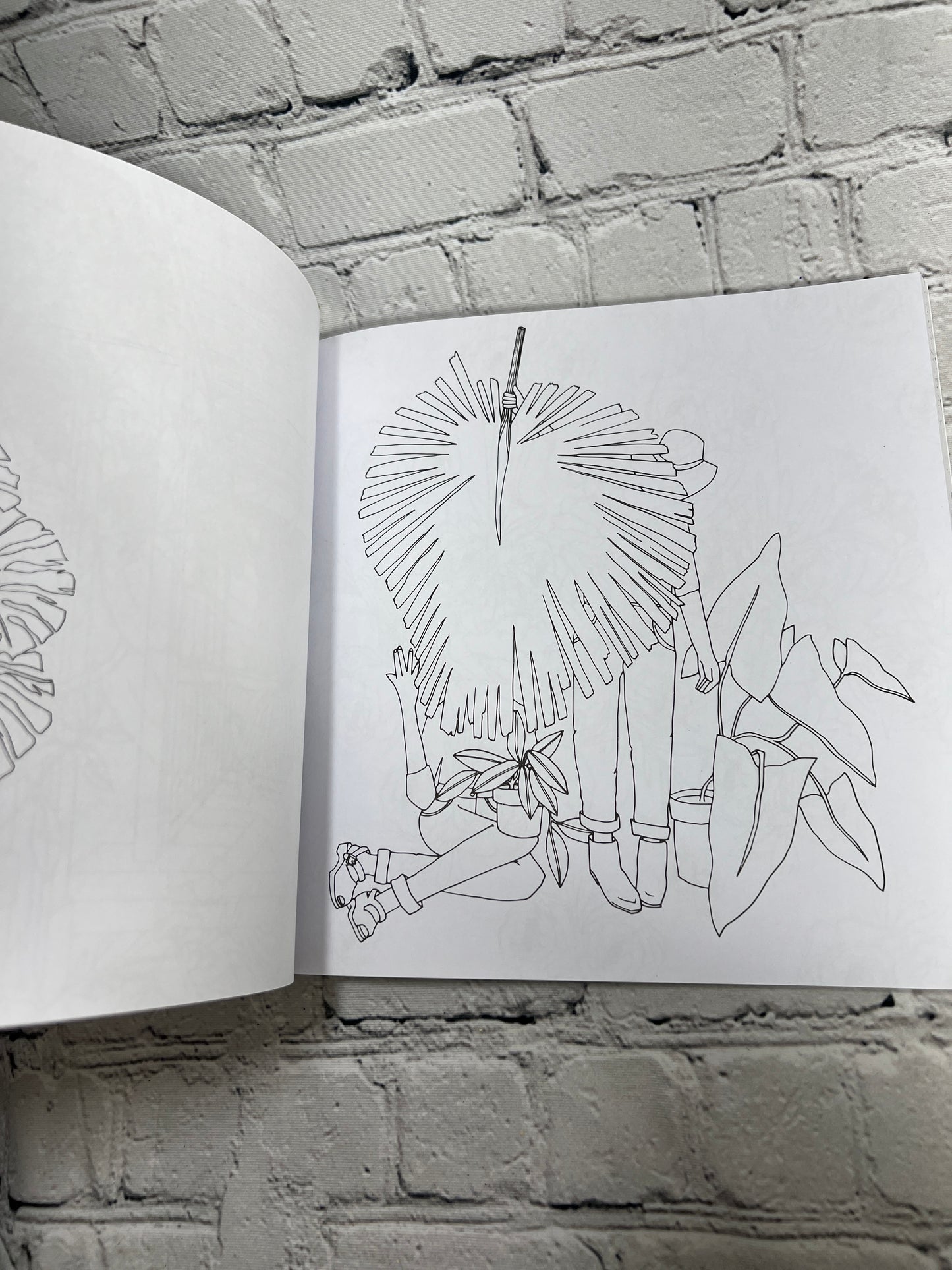 The Plant Lady: A Floral Coloring Book with Succulents and Flowers By Sara Simon