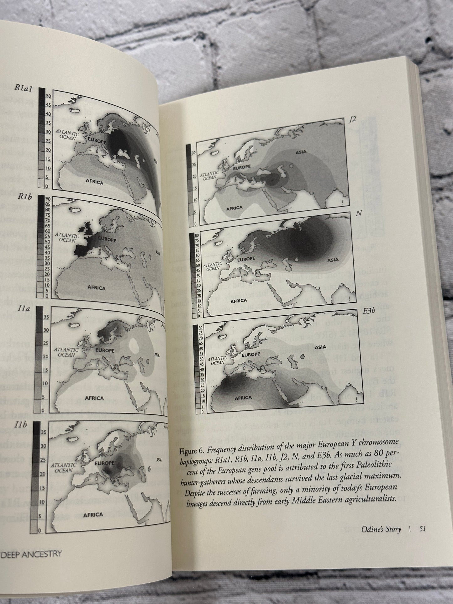 Deep Ancestry: Inside The Genographic Project by Spencer Wells [2007]