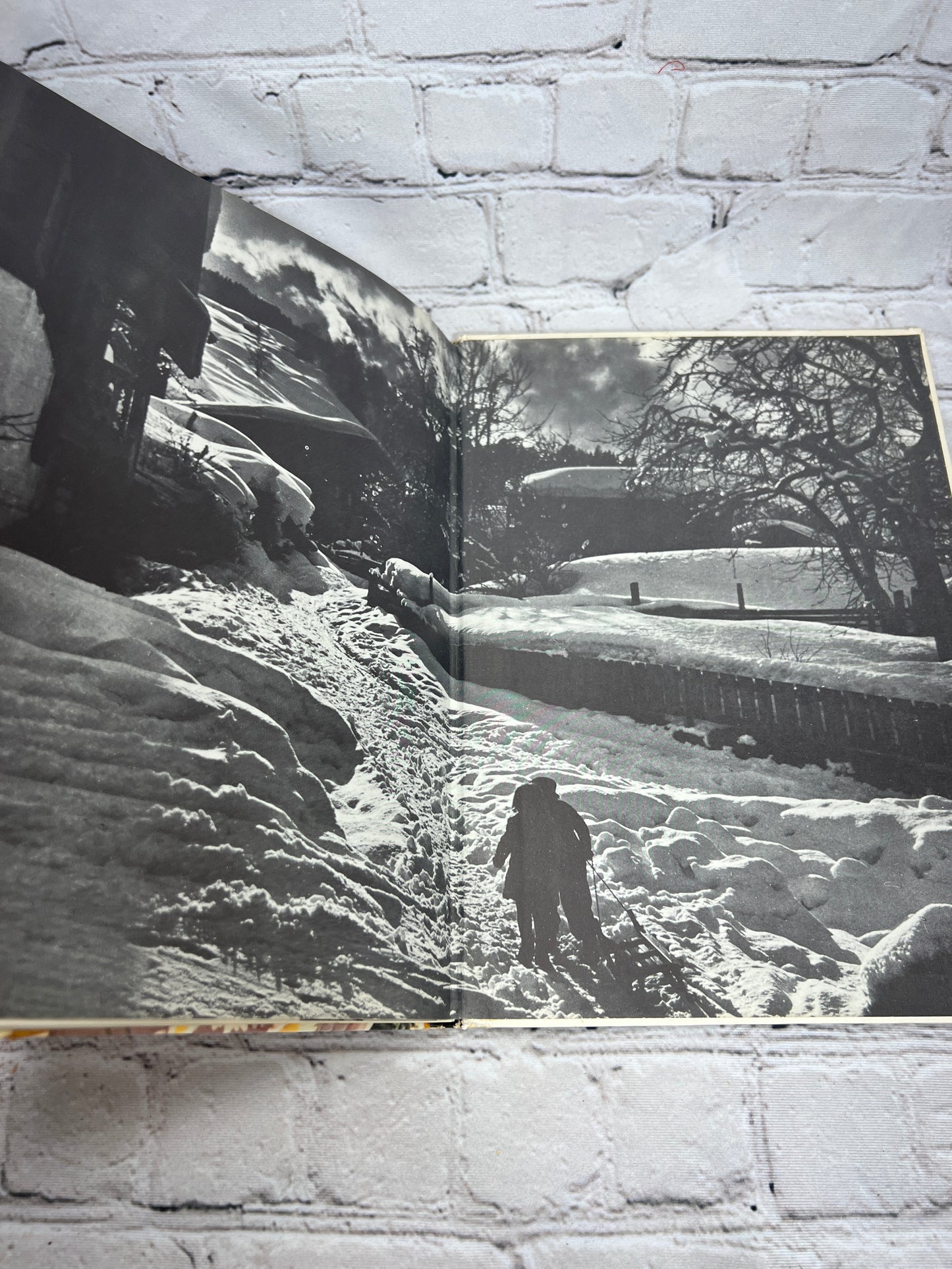 A Child's Garden of Verses by Robert Stevenson, Photo Illustration by Toni Frissell [1962]