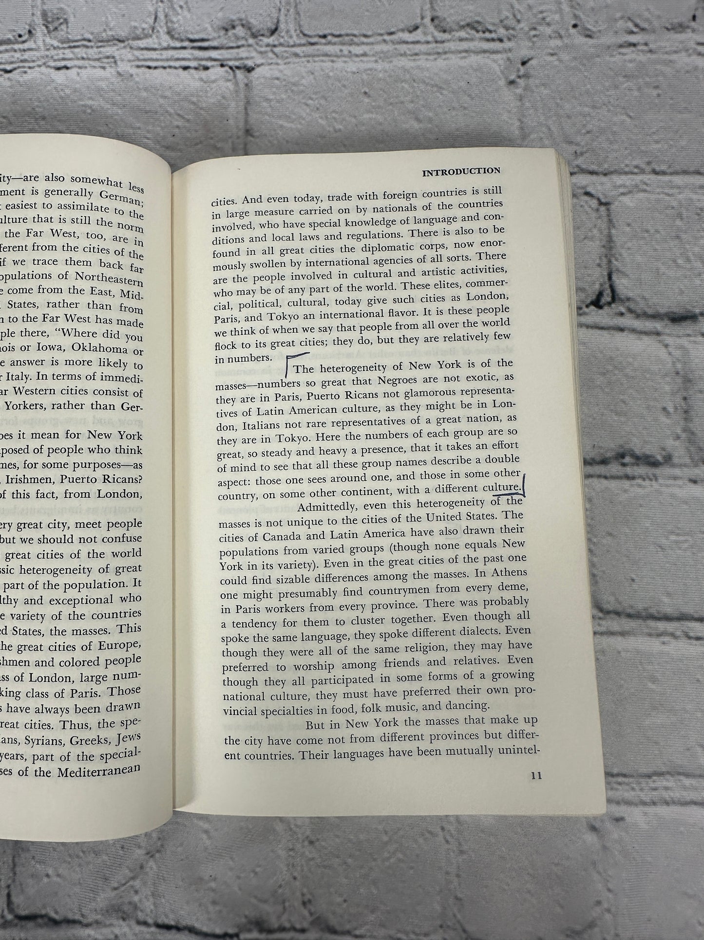 Beyond the Melting Pot: Negroes, Puerto Ricans, Jews, Italians, & Irish of NYC