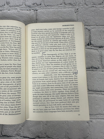 Beyond the Melting Pot: Negroes, Puerto Ricans, Jews, Italians, & Irish of NYC