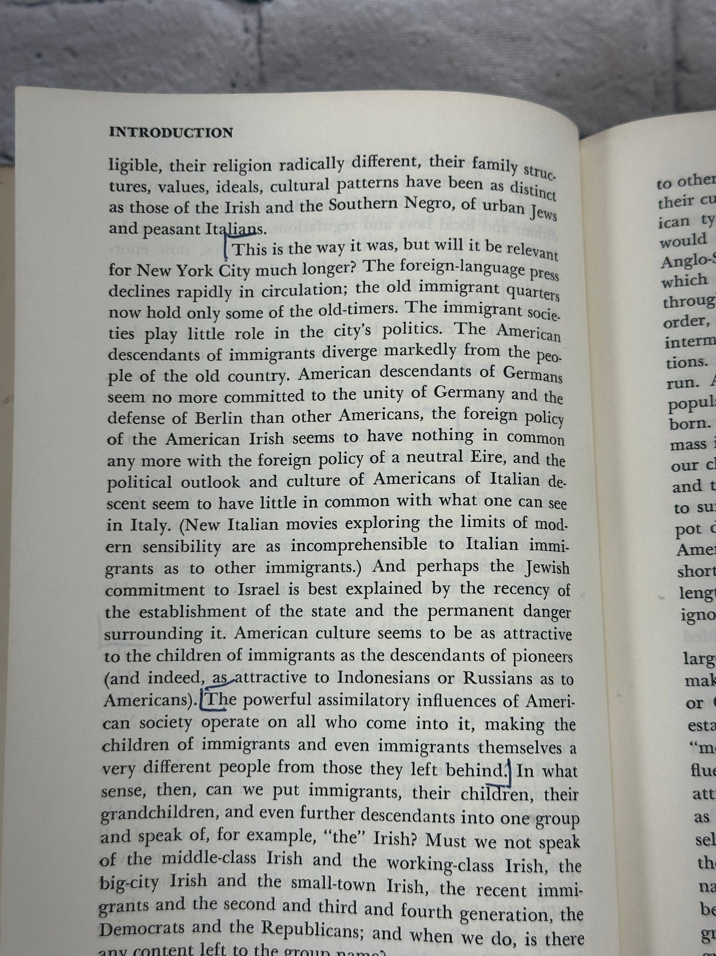 Beyond the Melting Pot: Negroes, Puerto Ricans, Jews, Italians, & Irish of NYC