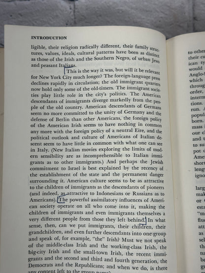 Beyond the Melting Pot: Negroes, Puerto Ricans, Jews, Italians, & Irish of NYC