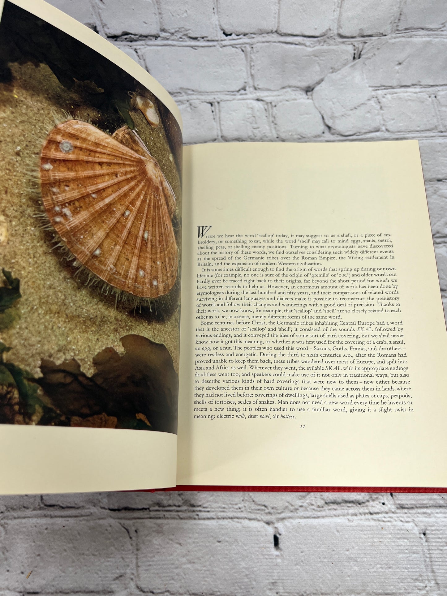 The Scallop: Studies of a Shell and its Influences on Humankind [1st Ed · 1957]