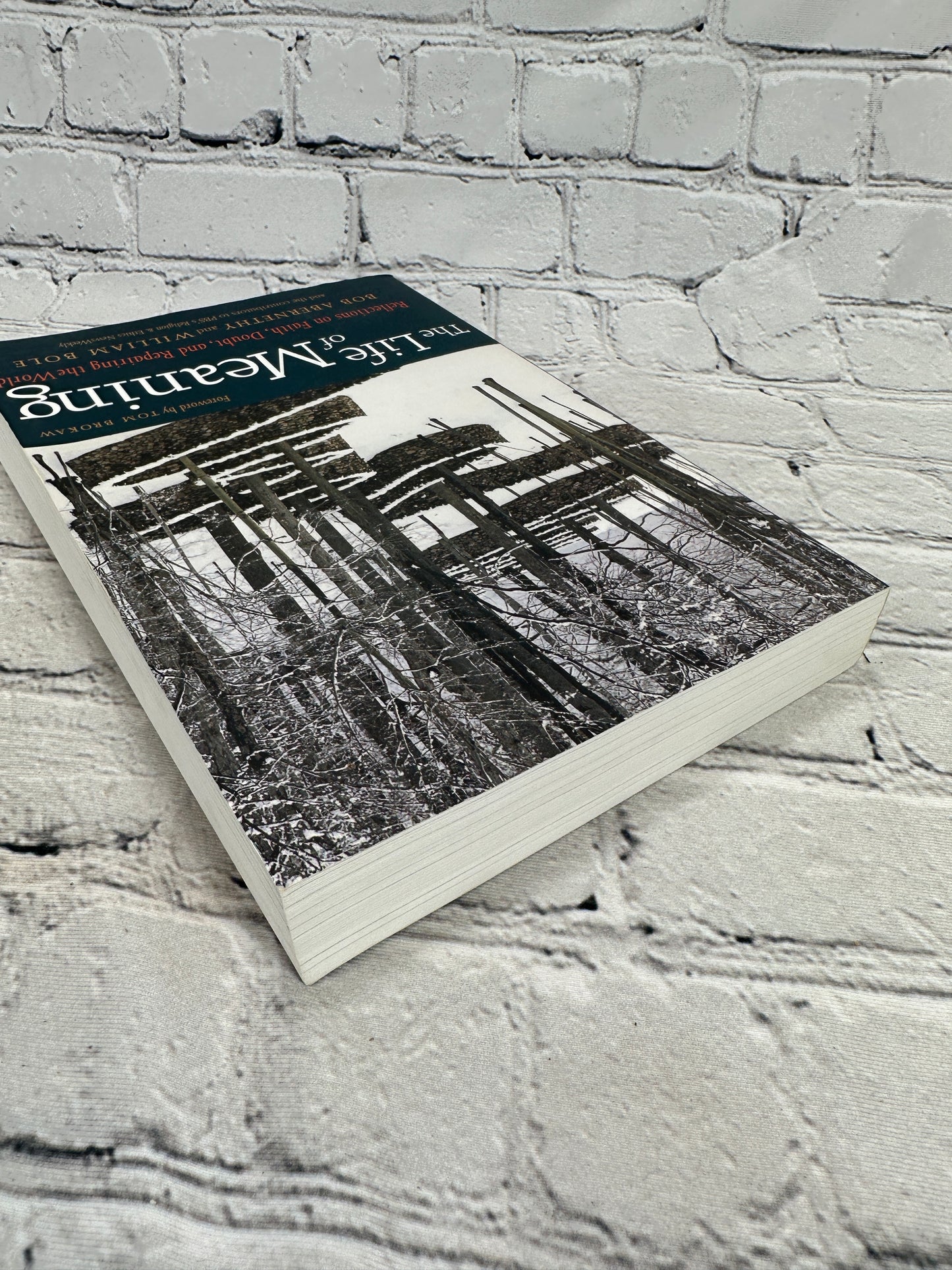 The Life of Meaning: Reflections by Bob Abernethy & William Bole [2008]