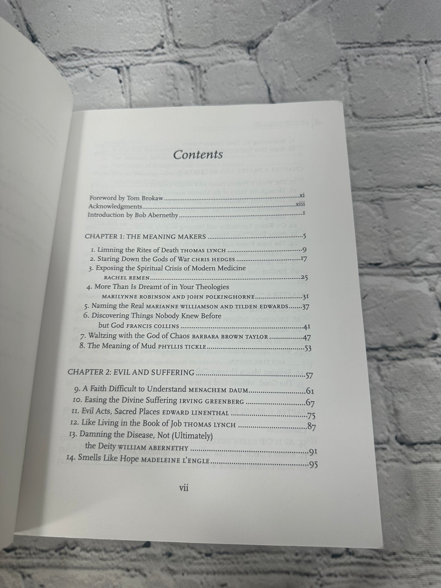 The Life of Meaning: Reflections by Bob Abernethy & William Bole [2008]