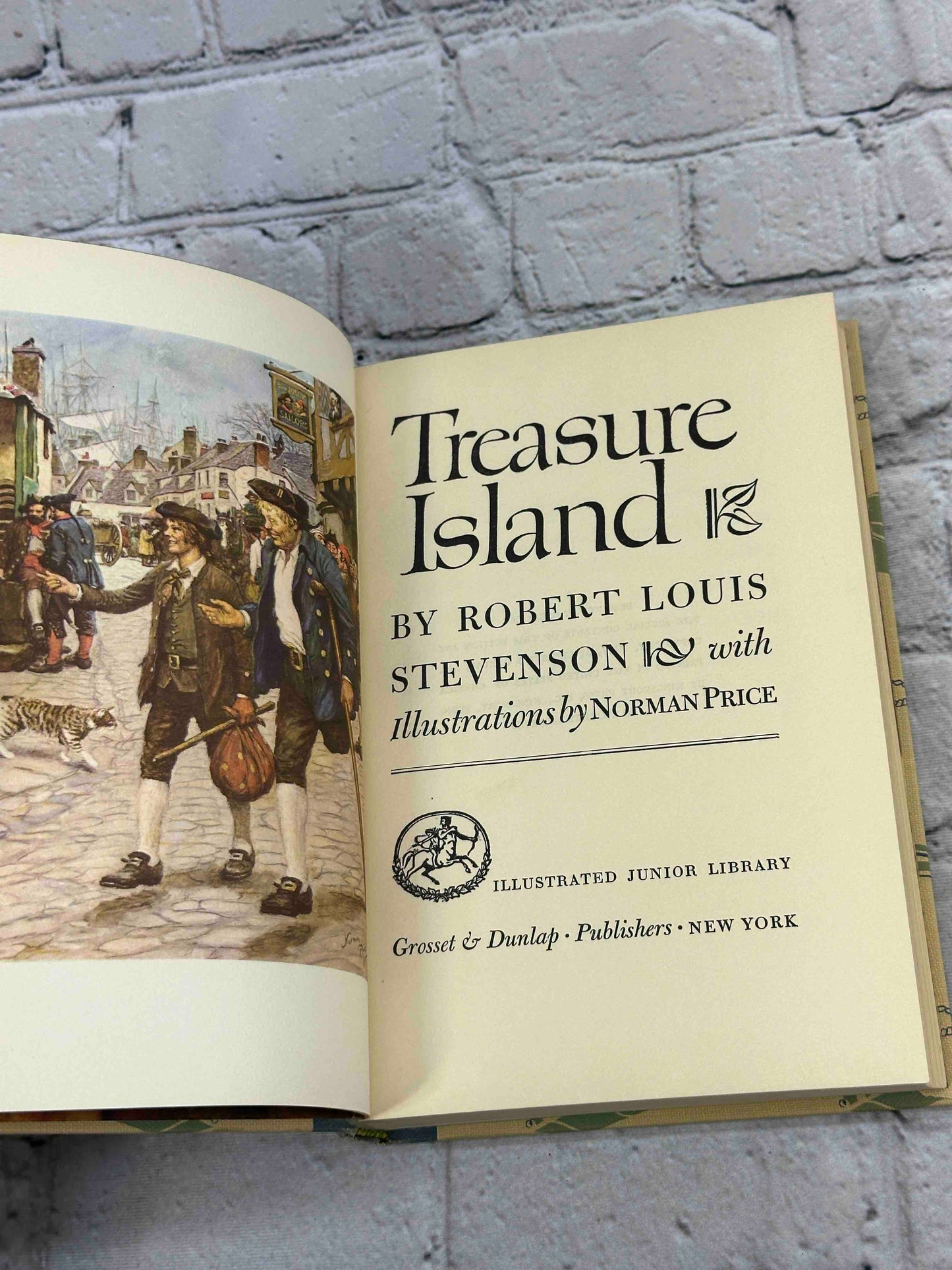 Treasure Island (Illustrated Junior Library)