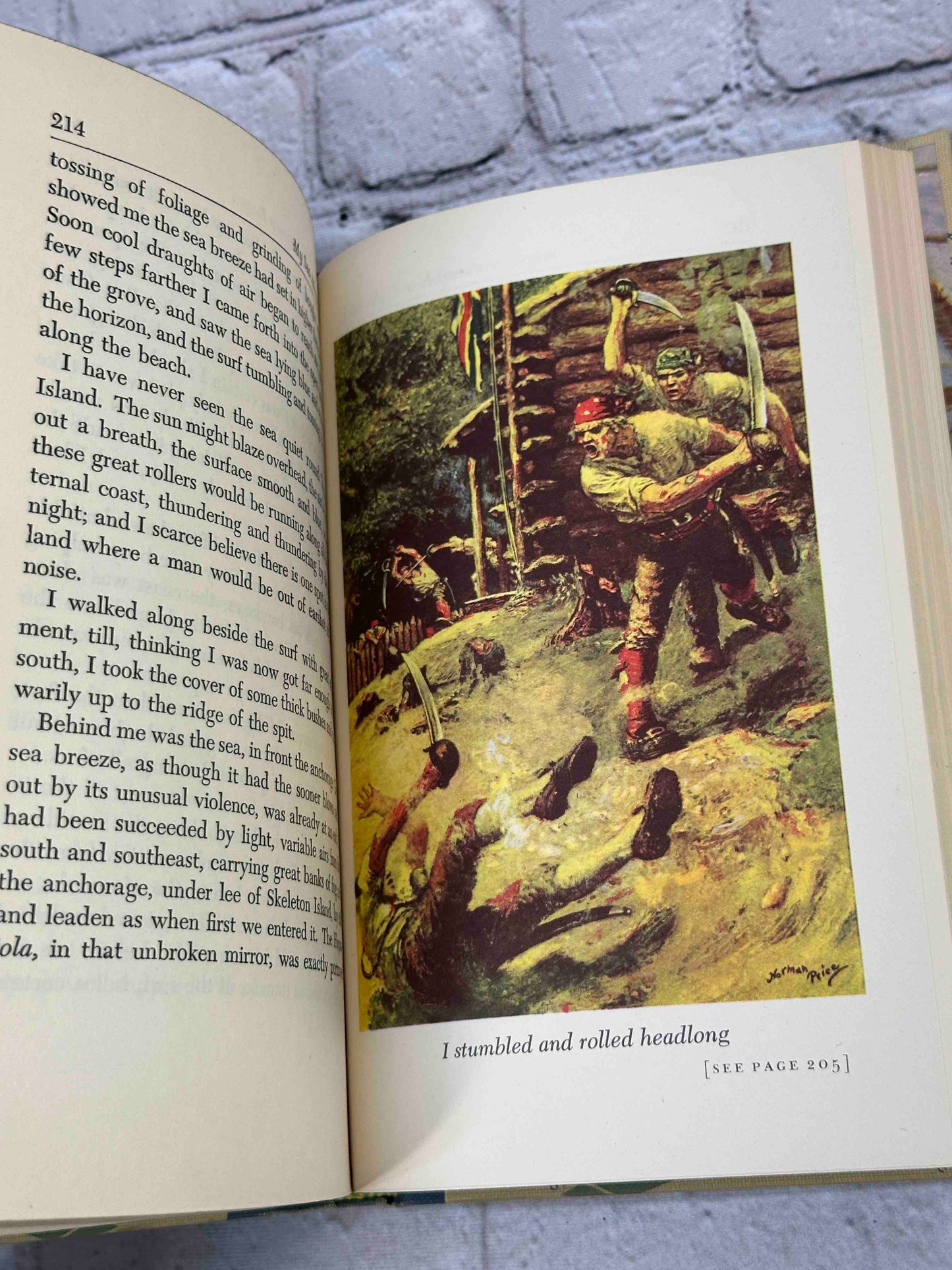 Treasure Island (Illustrated Junior Library)