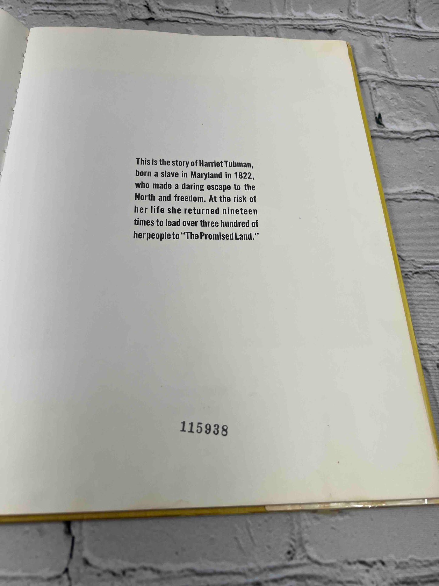 Harriet and the Promised Land