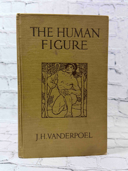 The human Figure