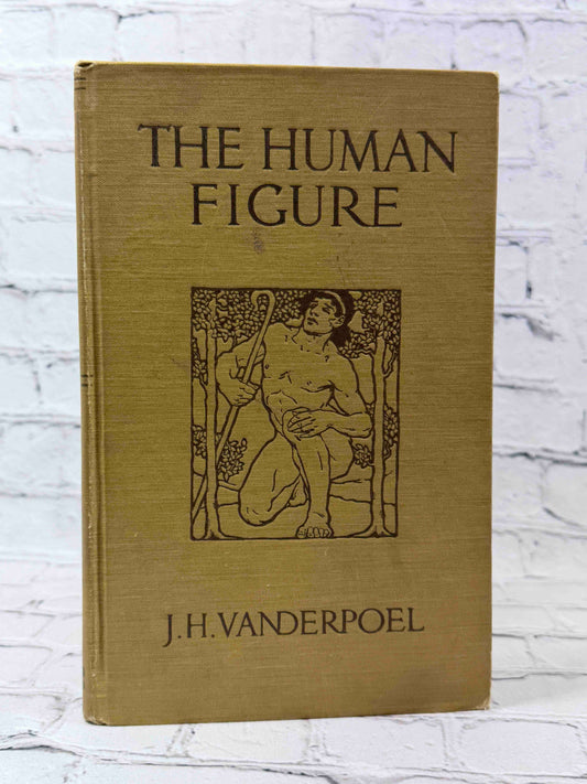 The human Figure