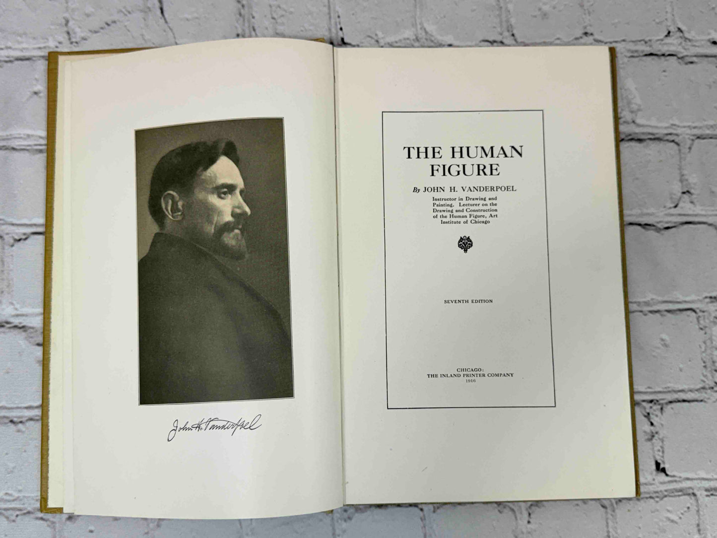 The human Figure