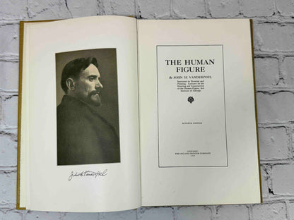 The human Figure