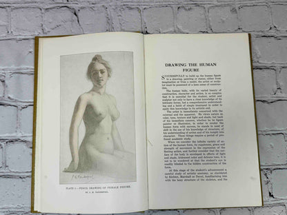 The human Figure